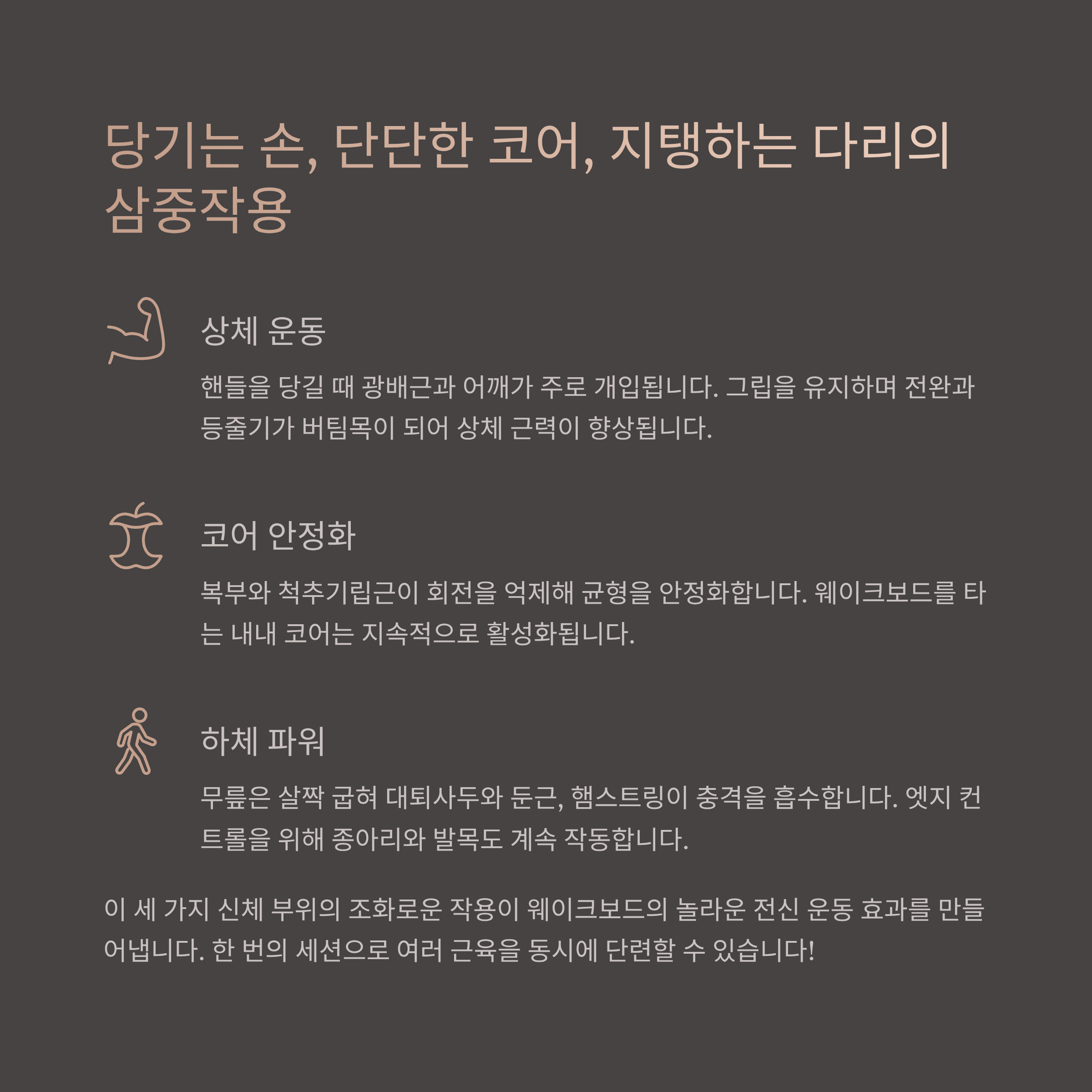 여름 스포츠 끝판왕, 웨이크보드의 놀라운 운동 효과!