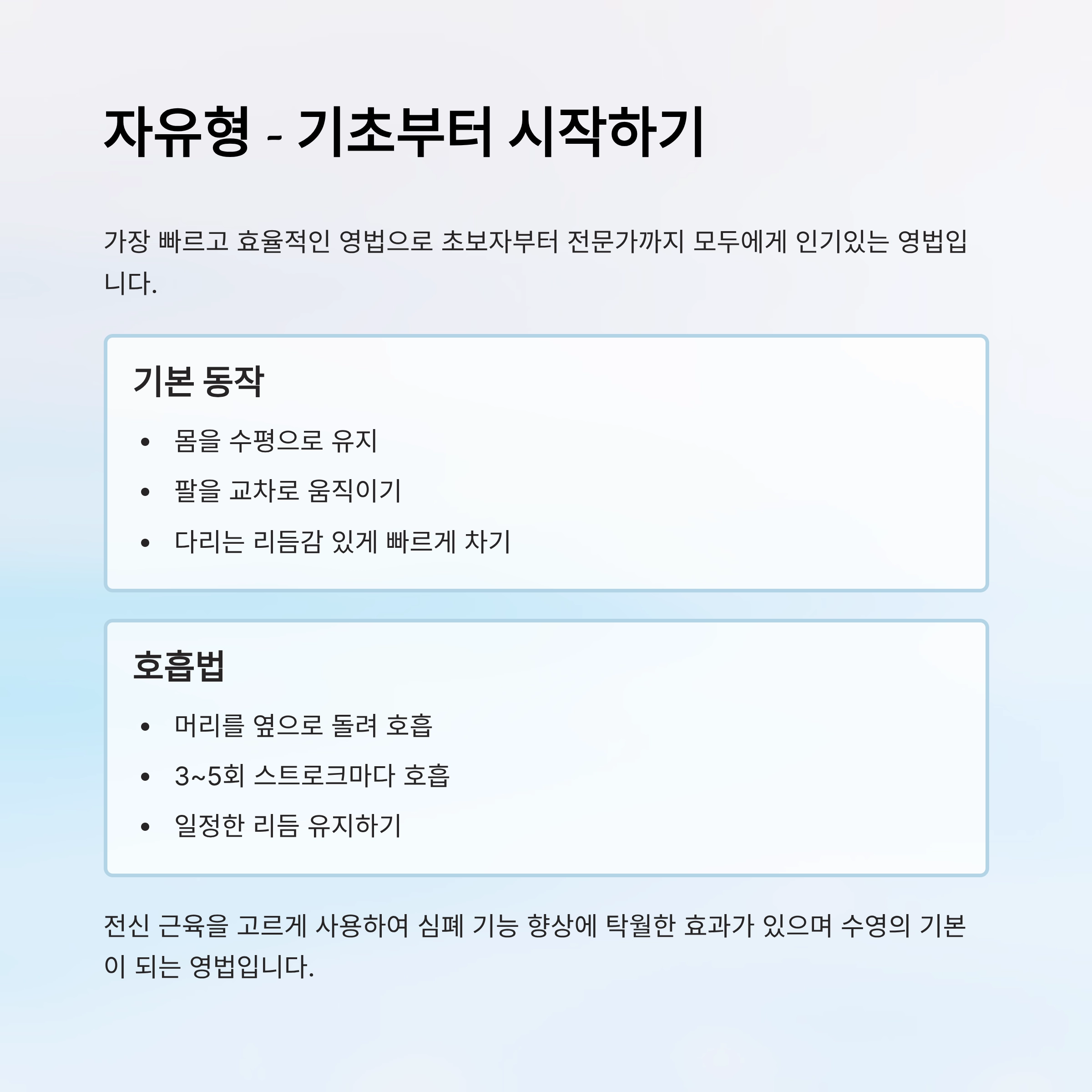 수영 영법 종류