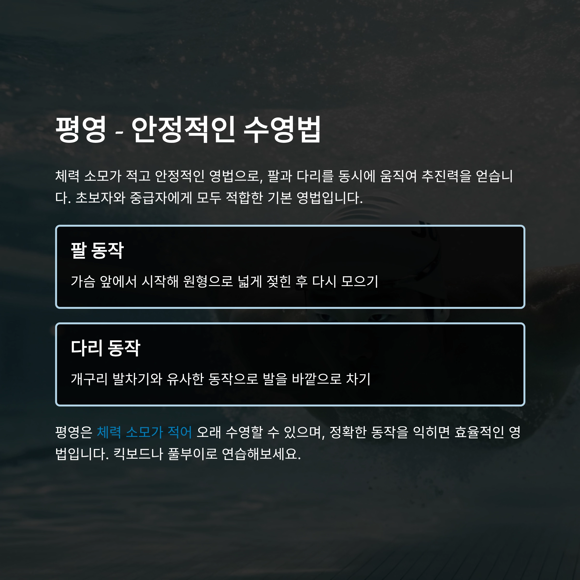 수영 영법 종류