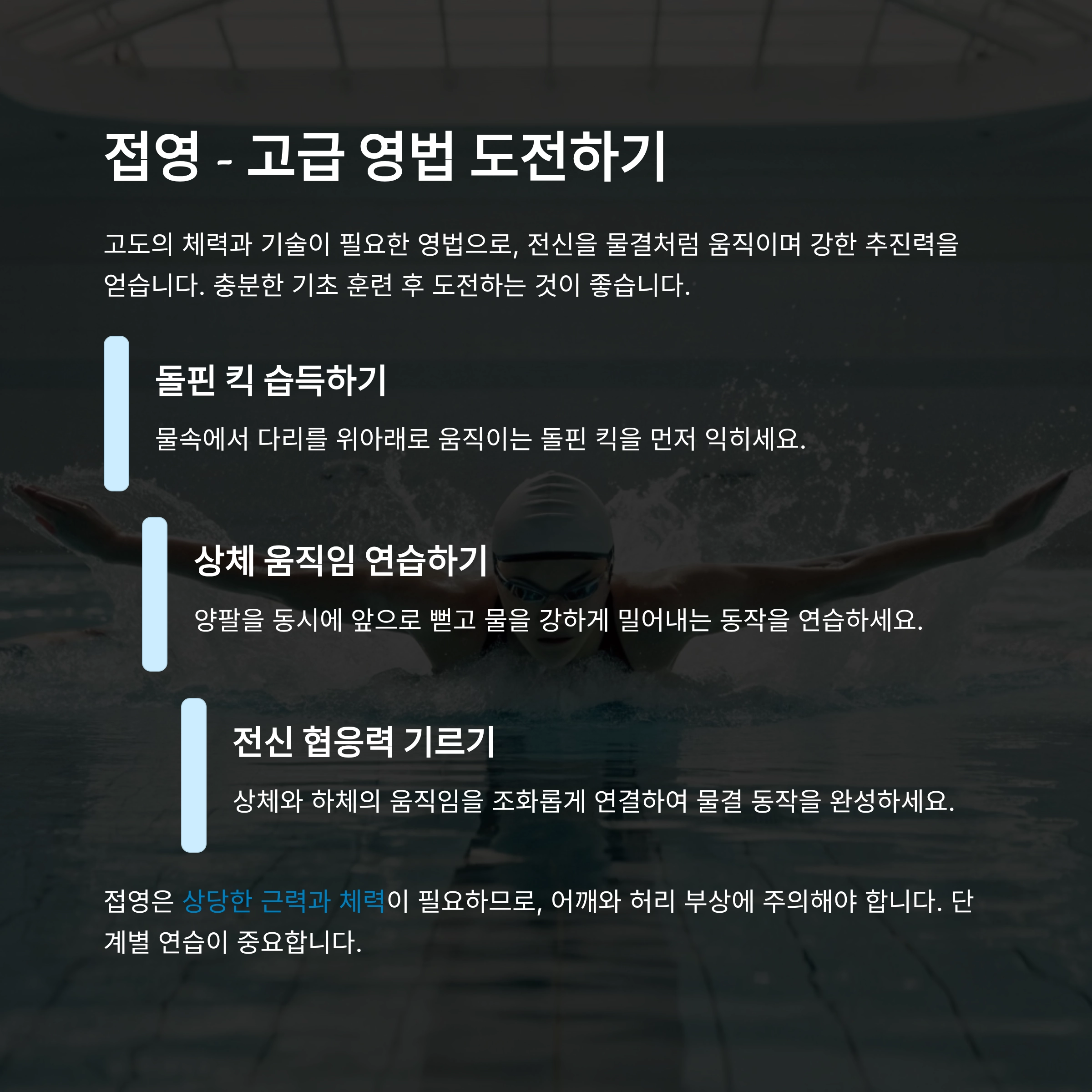 수영 영법 종류